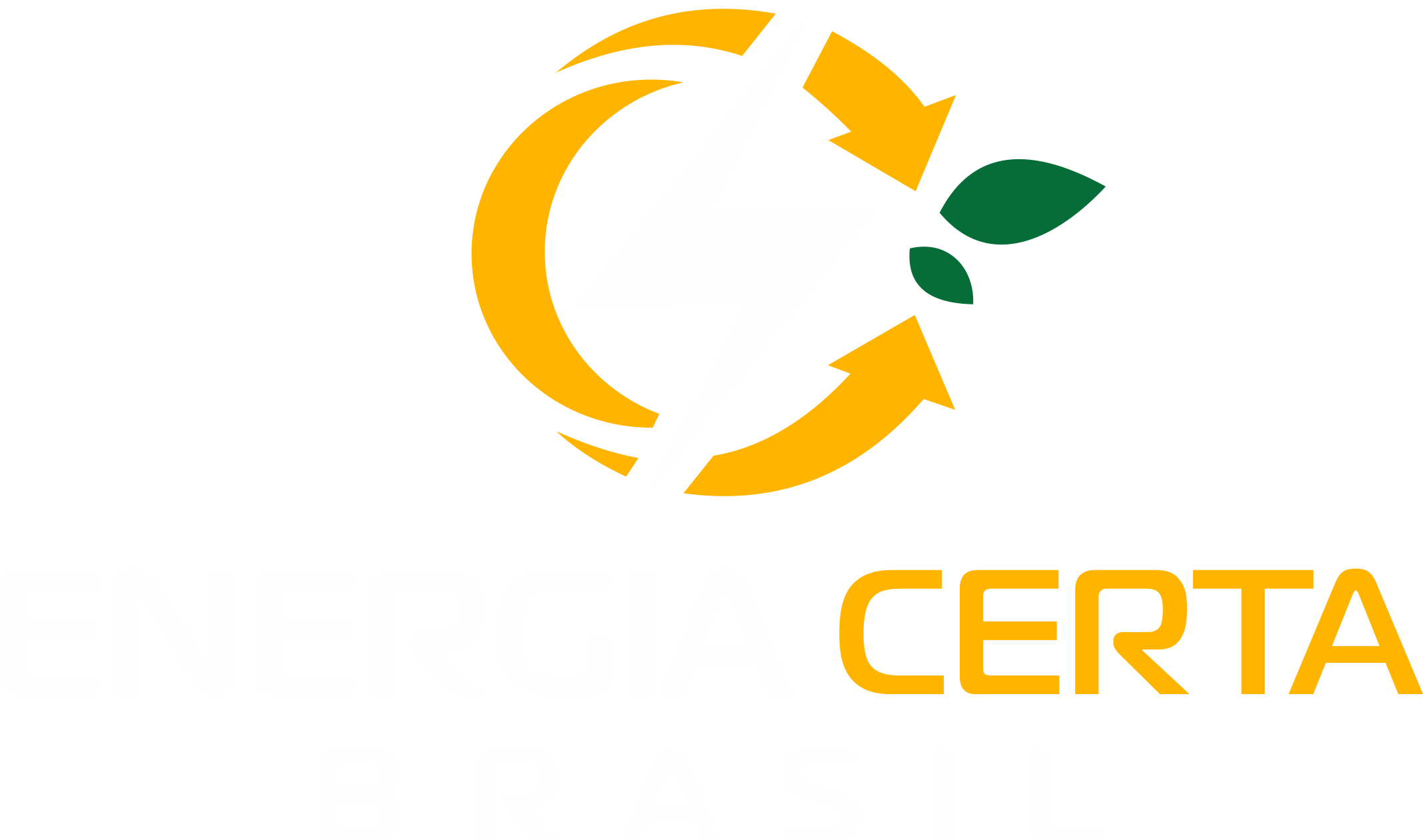 Energia Certa Brasil